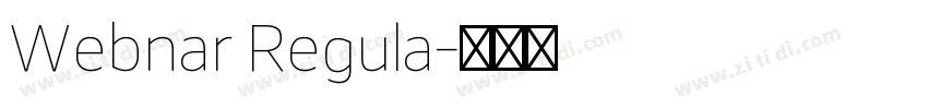 Webnar Regula字体转换